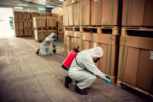Best Best Pest Control Companies  in Middleport, OH