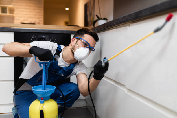 Best Local Pest Control Services  in Middleport, OH